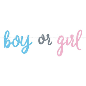 Banner girlang Boy or Girl