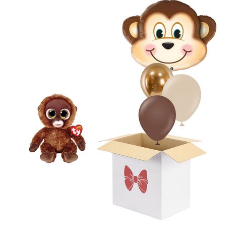 Ballongbox Apa