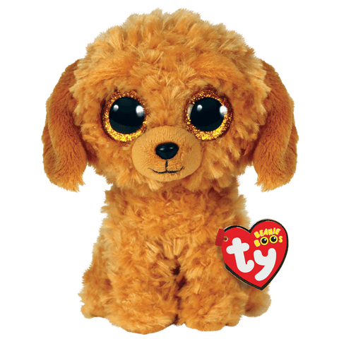 TY Hunden Poodles
