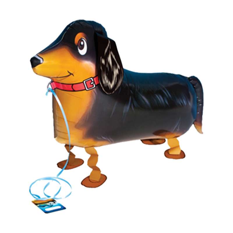 Gående hund, tax 55cm