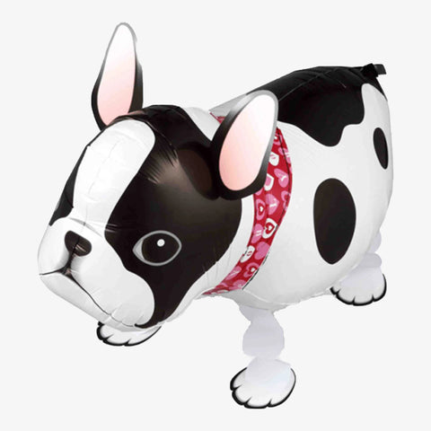 Gående hund, french bulldog 55cm