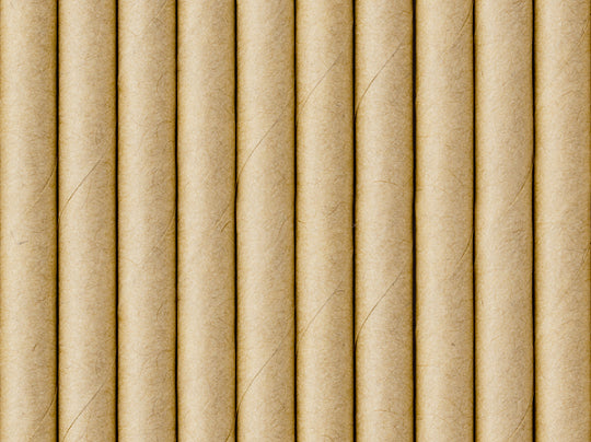 Papperssugrör natur 10-pack